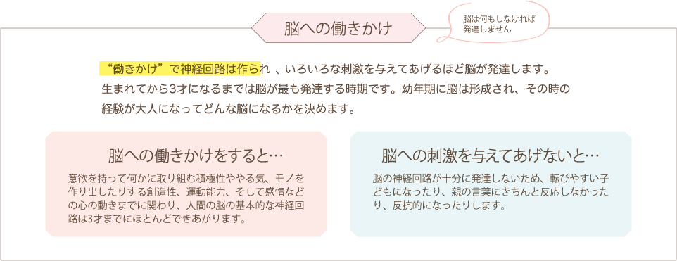 脳への働きかけ