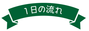 一日の流れ